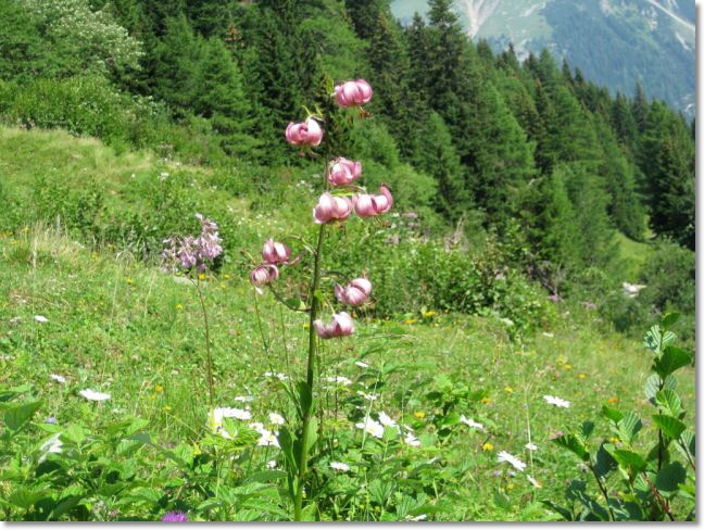 Via Spluga 2010 (88).jpg